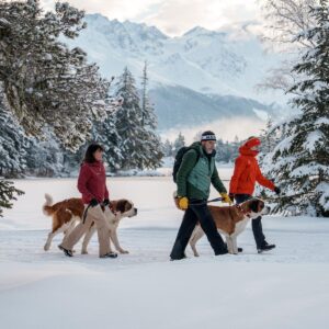Family & Dogs Mountain Adventure